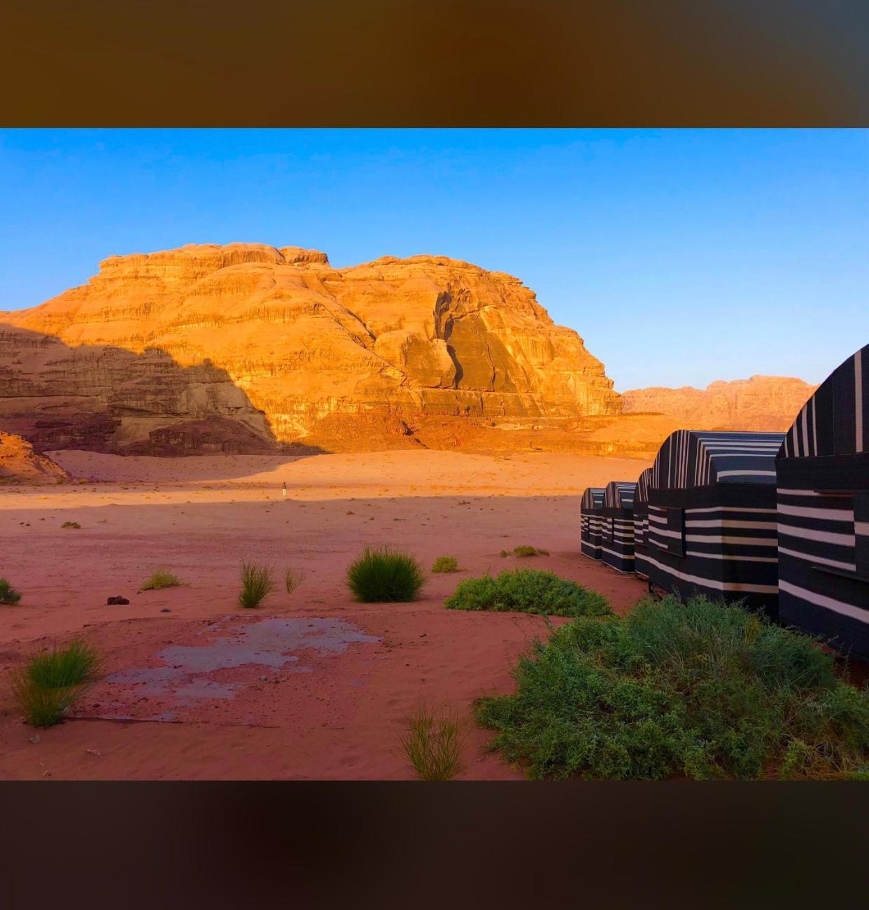 Bedouin Holidays Camp And Jeep Tours วาดิรัม ภายนอก รูปภาพ